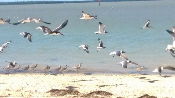 Thank God it's Friday, a.k.a TGIF.