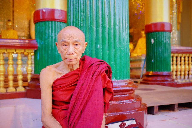 wp-1427623763104 image