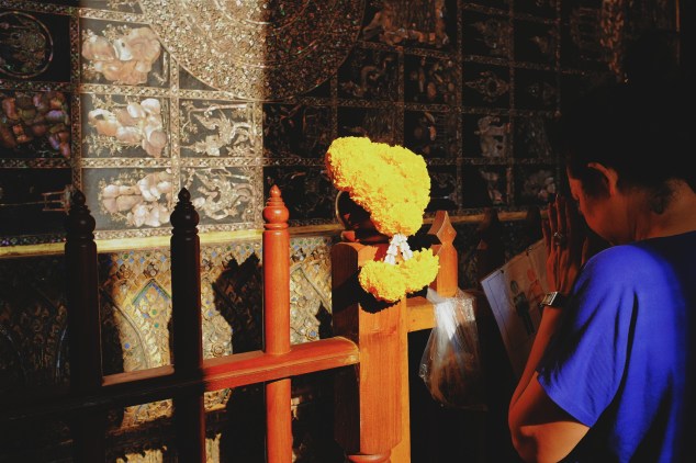 wp-1427623793700 image