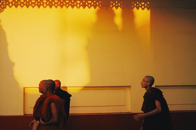 wp-1427623805037 image